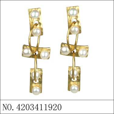 Earrings Gold