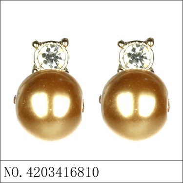 Earrings Brown