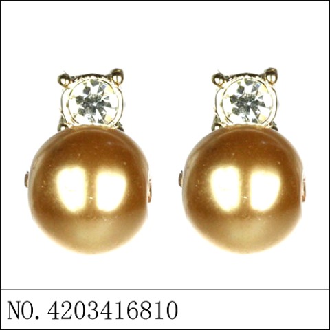 Earrings Brown