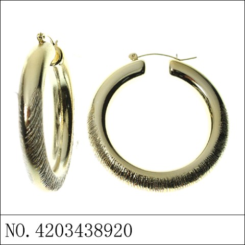 Earrings Gold