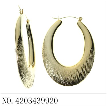 Earrings Gold