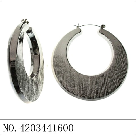 Earrings Gray