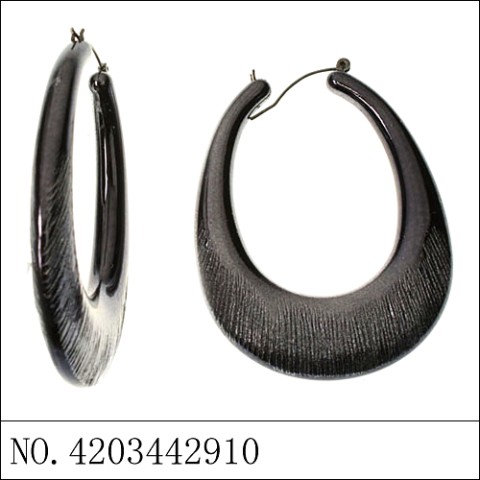 Earrings Black