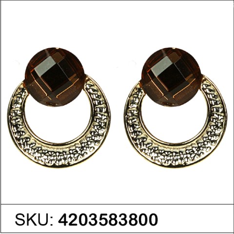 Earrings Brown