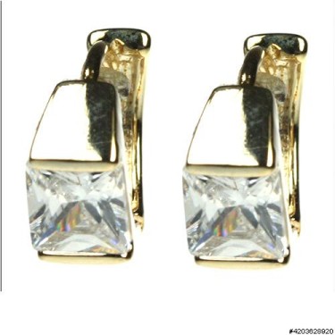 Earrings Gold