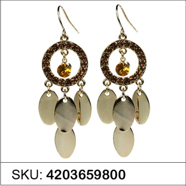 Earrings Brown