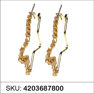 Earrings Brown