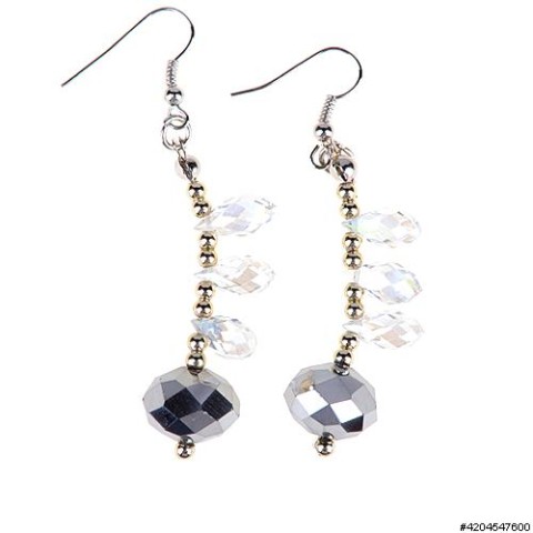 Earrings Gray