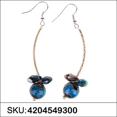 Earrings Blue