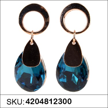 Earrings Blue