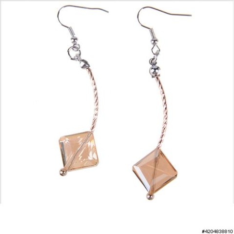 Earrings Brown