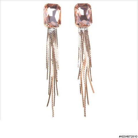 Earrings Brown