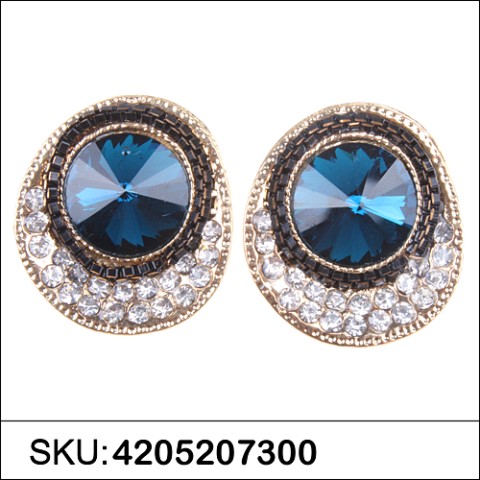 Earrings Blue