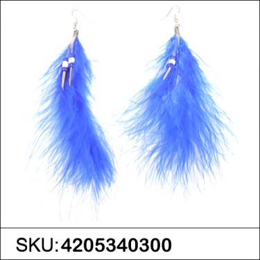 Earrings Blue