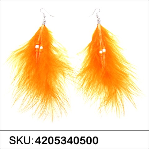 Earrings Orange