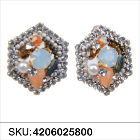 Earrings Brown