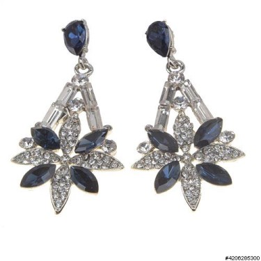 Earrings Blue