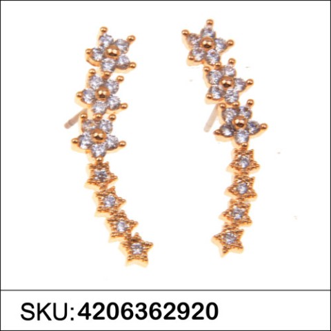 Earrings Gold