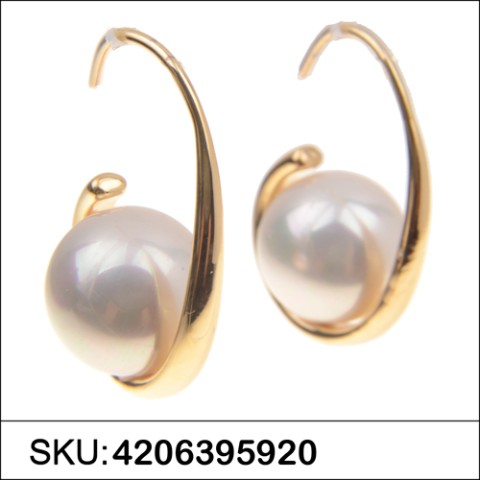 Earrings Gold