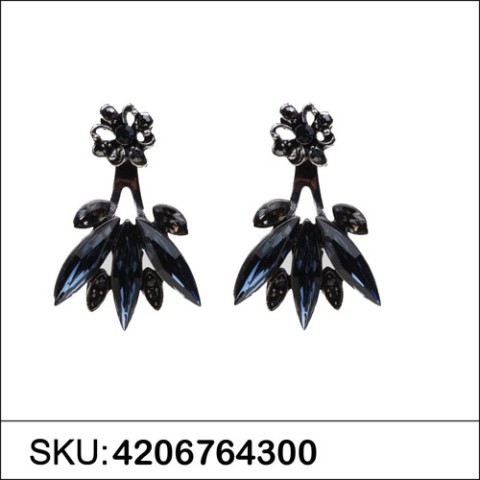 Earrings Blue