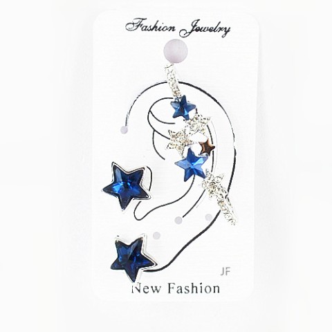 Earrings Blue