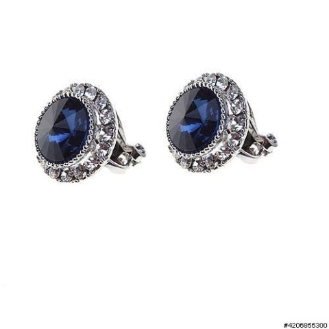 Earrings Blue