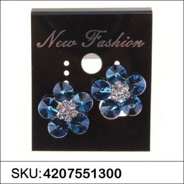 Earrings Blue