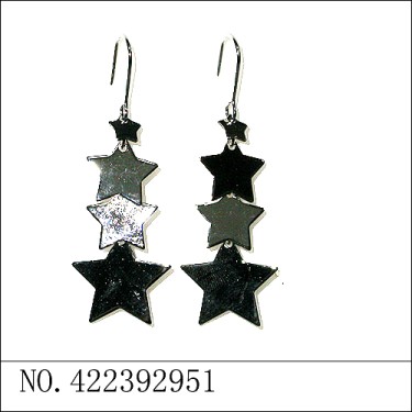 Earrings White Gold