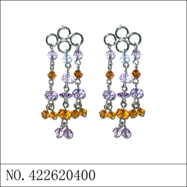 Earrings Purple