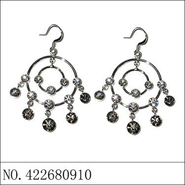 Earrings Black