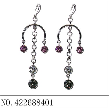 Earrings Purple