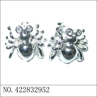 Earrings White Gold