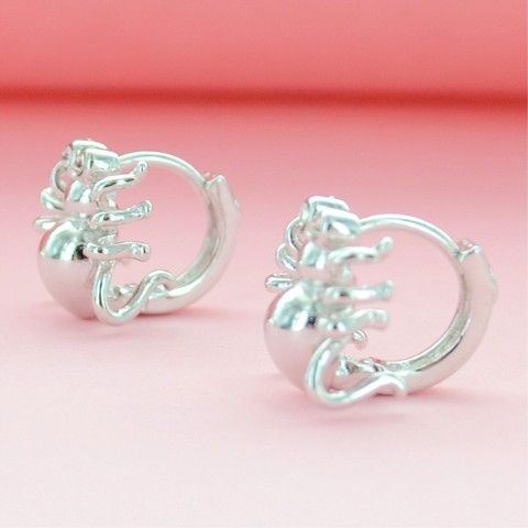 Earrings White Gold