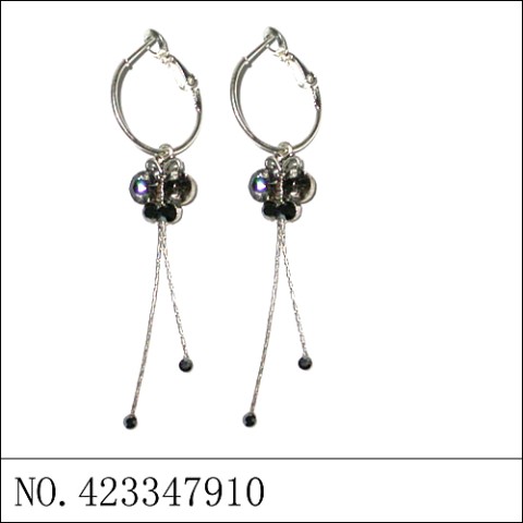 Earrings Black