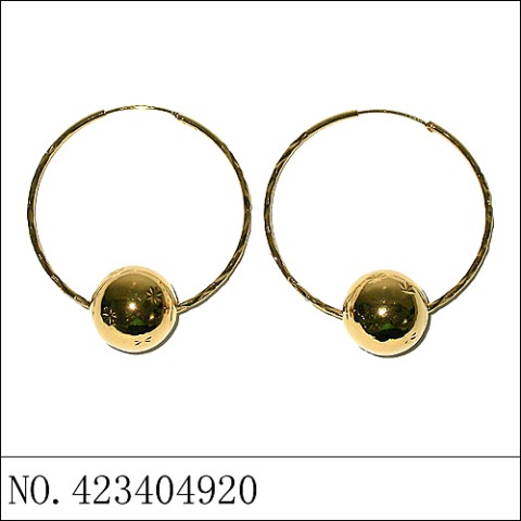 Earrings Gold