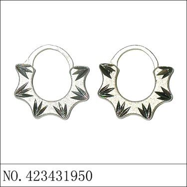 Earrings White Gold