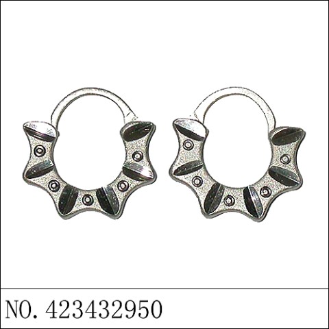 Earrings White Gold