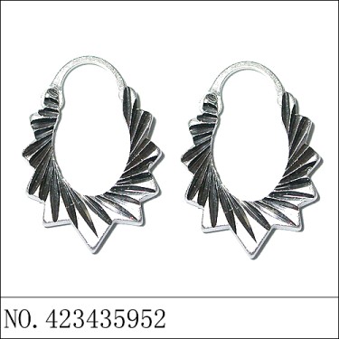 Earrings White Gold