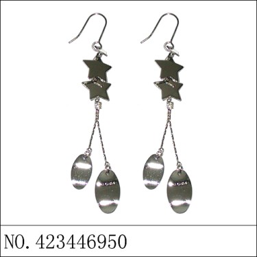 Earrings White Gold