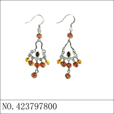 Earrings Brown