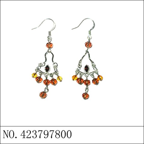 Earrings Brown