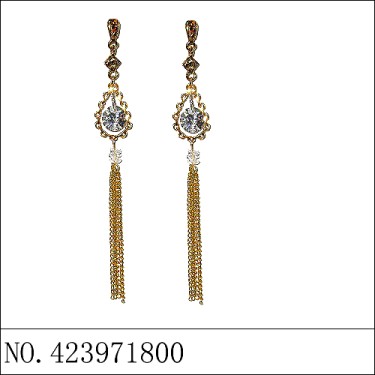 Earrings Brown