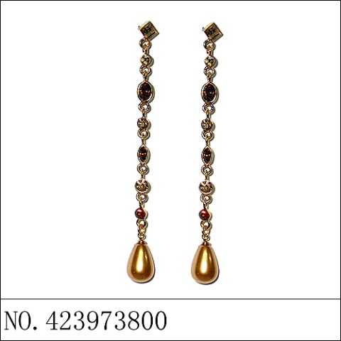 Earrings Brown