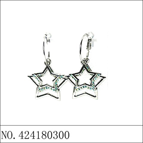 Earrings Blue