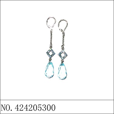 Earrings Blue