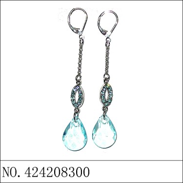 Earrings Blue