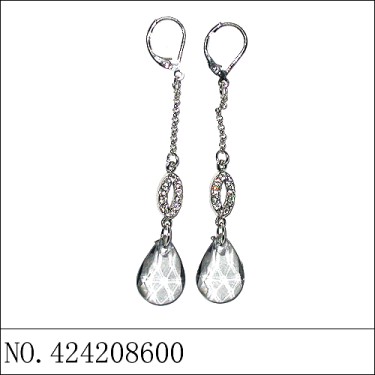 Earrings Gray