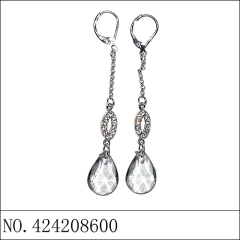 Earrings Gray