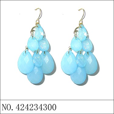 Earrings Blue