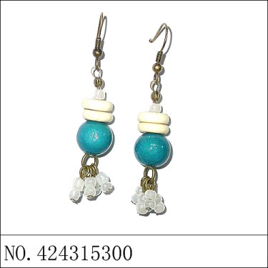 Earrings Blue